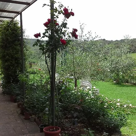 Casa Crevole Ferienhaus Palazzina (Tuscany)